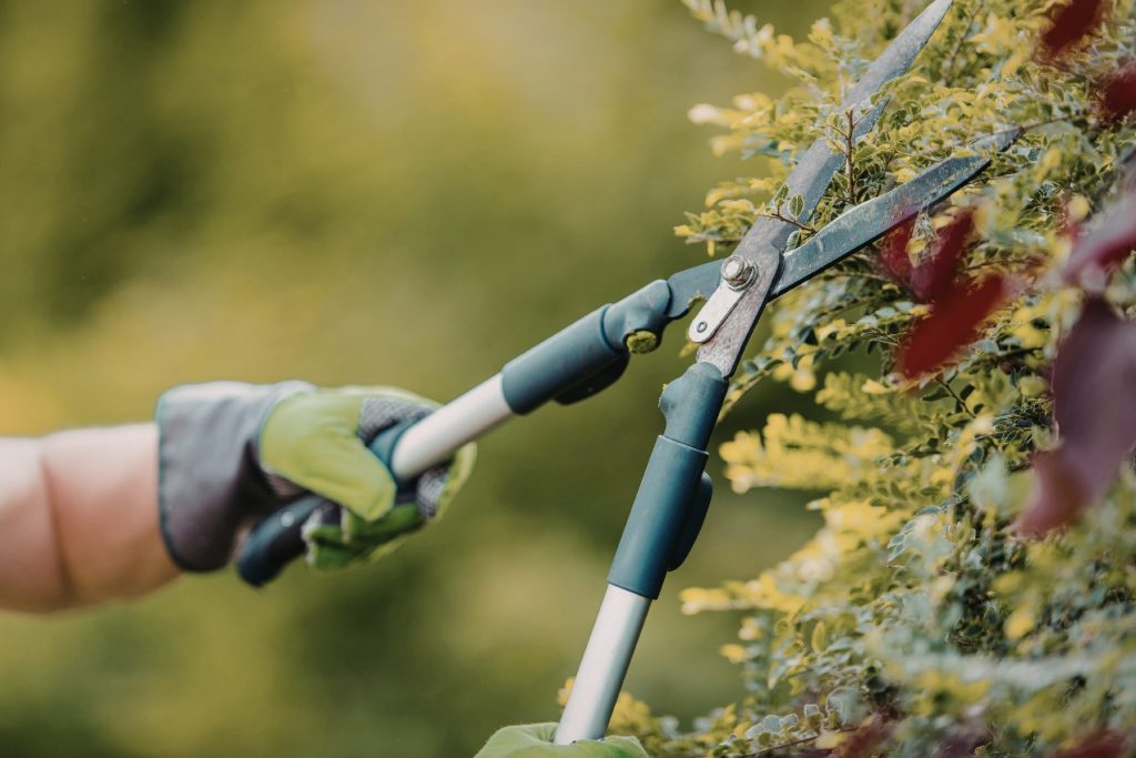 Maintaining a garden as part of preparing a home for sale